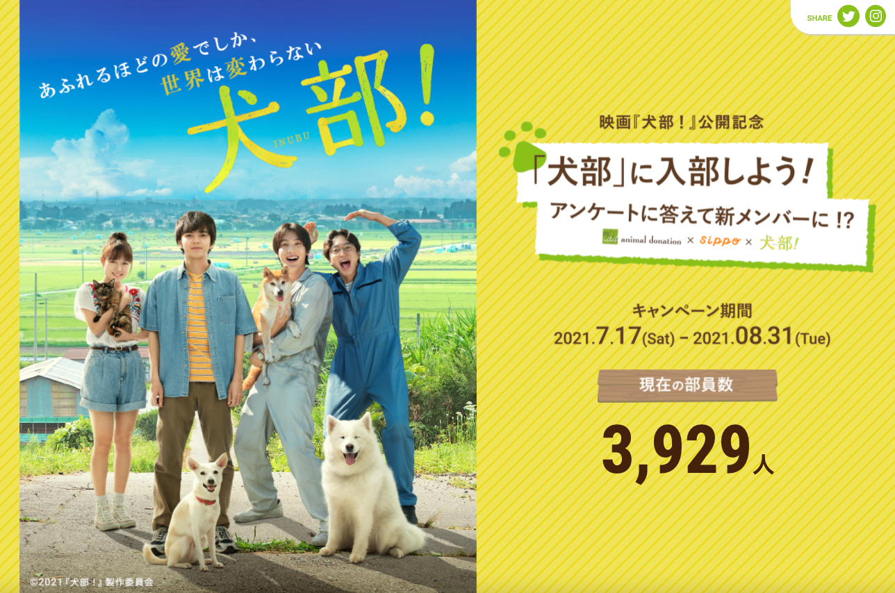 映画『犬部！』公開記念キャンペーンサイト LP制作の制作物画像